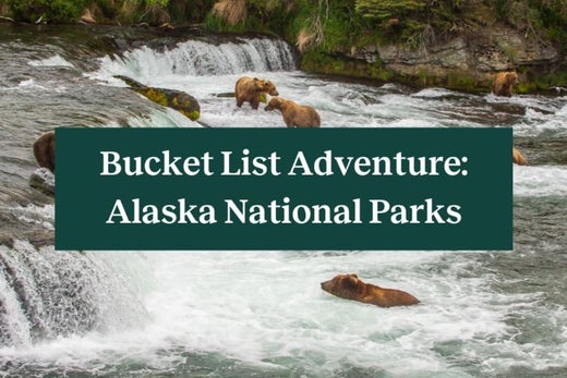 Bears fishing for salmon in the Kootenai River in one of the eight Alaska national parks