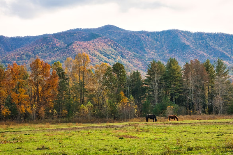 Great Smoky Mountains National Park Things To Do
