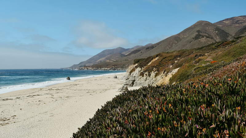 California Souvenirs
