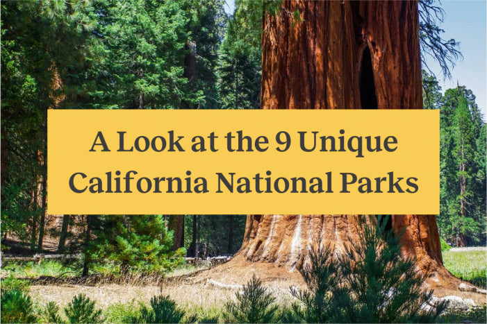 A Look at the 9 Unique California National Parks