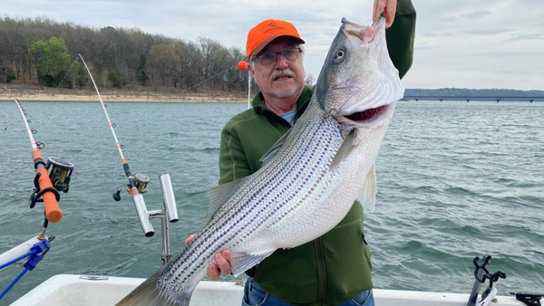 Wanderer of the Week: Dave T.