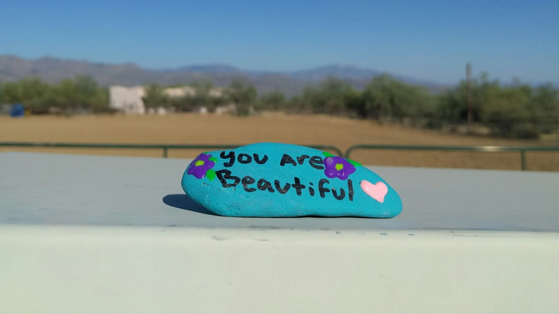 Handpainted Arizona Souvenir Rock 