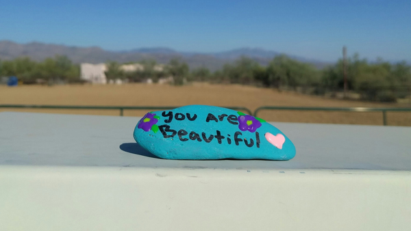 Handpainted Arizona Souvenir Rock 
