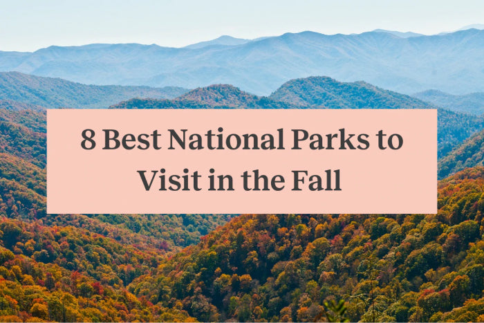 8 Best National Parks to Visit in the Fall