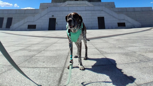 Wanderer of the Week: Sandy B.