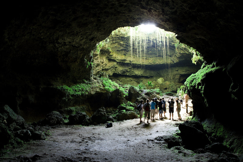 Things To Do At Mammoth Cave