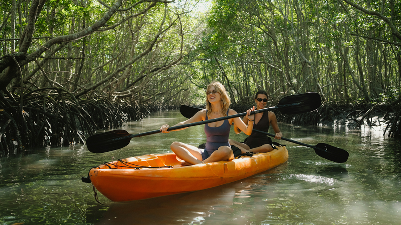 Things To Do In Everglades National Park