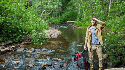 Explore The Everglades: Best Activities, Tours & Wildlife Adventures