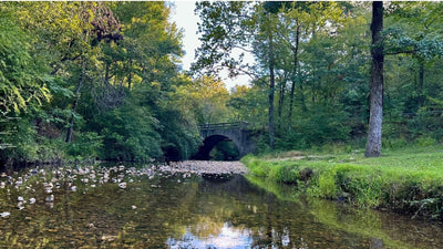 What To Do In Hot Springs National Park: Ultimate Visitor’s Guide