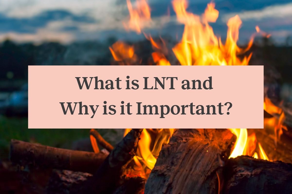 A campfire near a forest area and a pink box with the words What is LNT and Why is it Important?