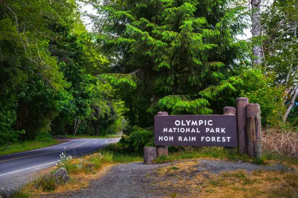 When Looking For Things To Do In Olympic National Park, Consider Hiking The Hoh Rain Forest’s Many Trails. 