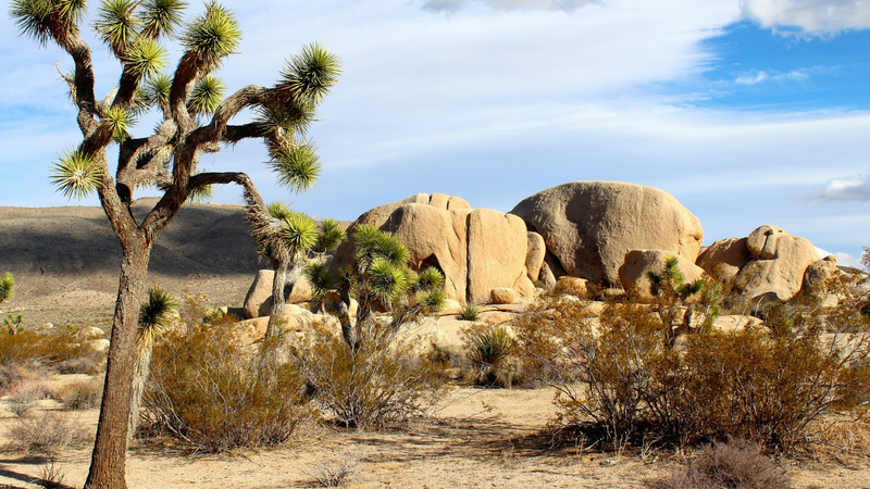 Best National Parks to Visit in November 2026