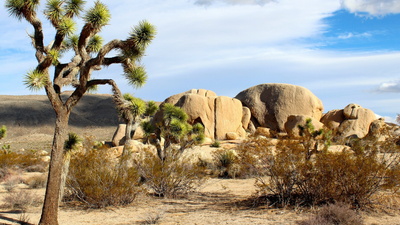 Best National Parks to Visit in November 2026