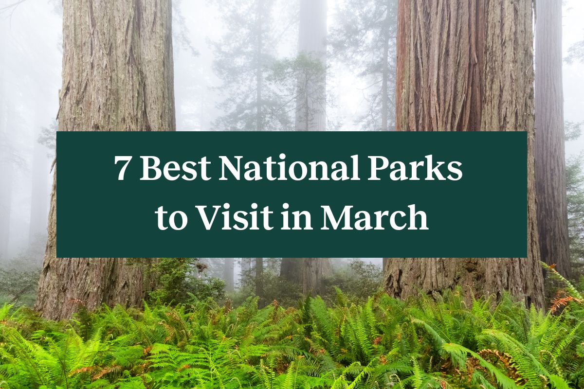 Foggy Redwoods and a green rectangle that reads "7 best national parks to visit in March" in white letters