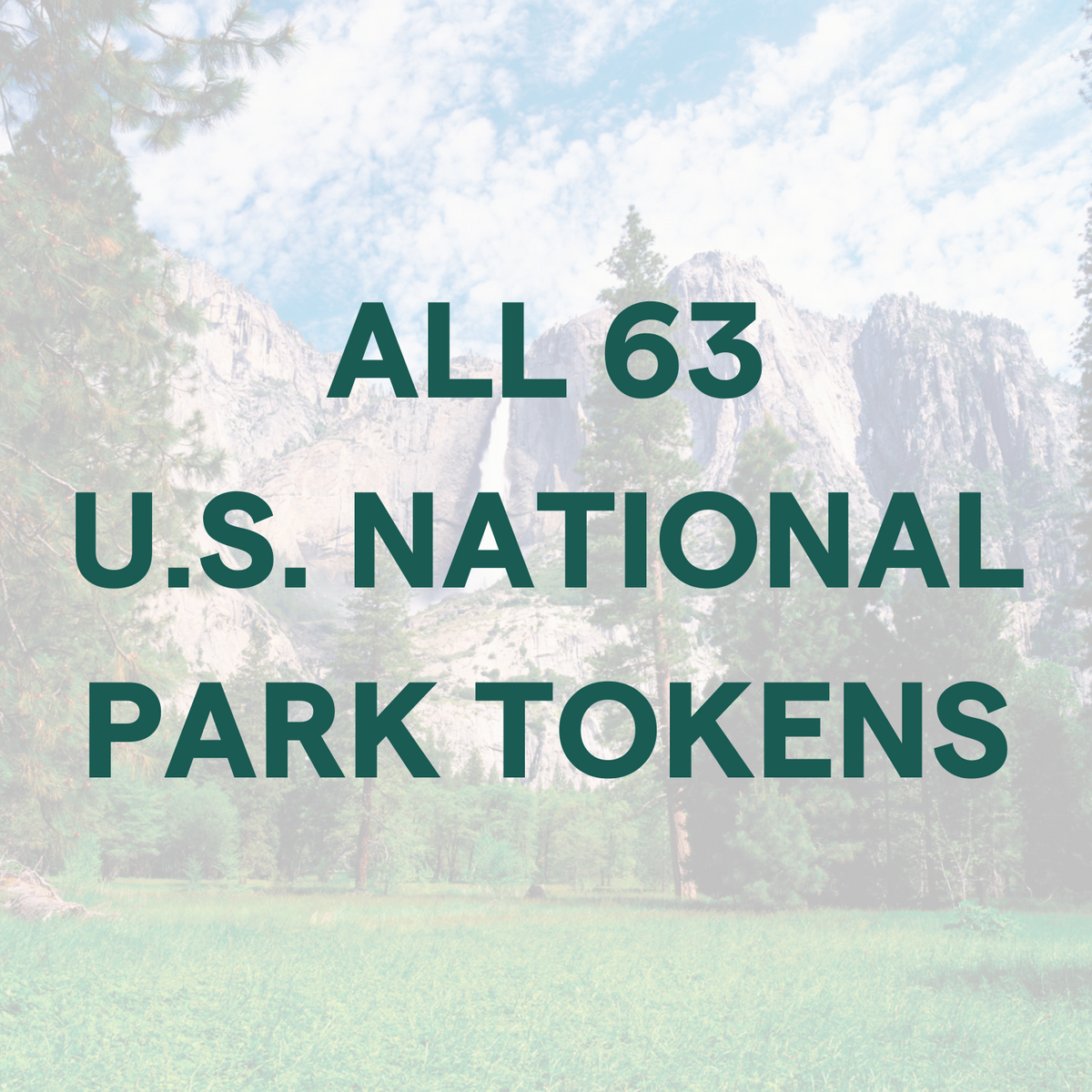 All 63 US National Park Tokens