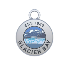 Bahía Glaciar Image