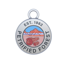 Petrified Forest Image