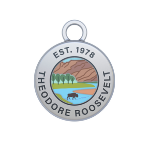 Theodore Roosevelt Image