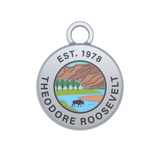 Theodore Roosevelt Image