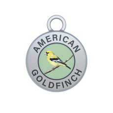American Goldfinch Image