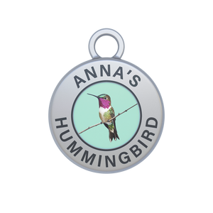 Anna's Hummingbird Image