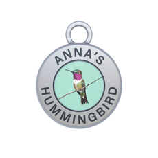 Anna's Hummingbird Image