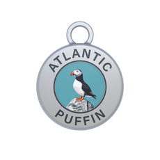 Atlantic Puffin Image