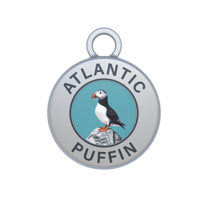 Atlantic Puffin Image