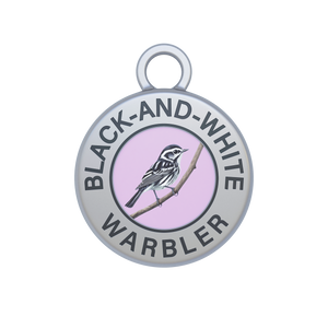 Black-and-white Warbler Image