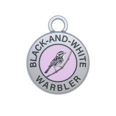 Black-and-white Warbler Image
