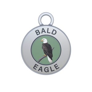 Bald Eagle Image