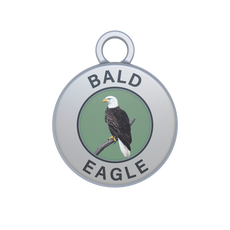 Bald Eagle Image
