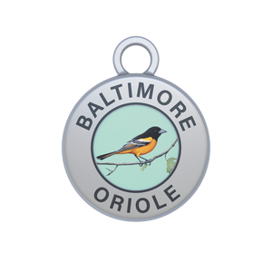 Baltimore Oriole Image