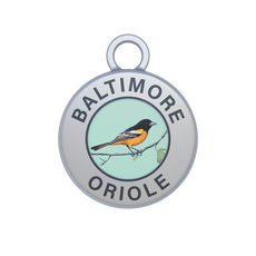 Baltimore Oriole Image