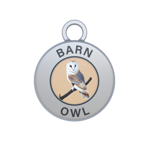 Barn Owl Image