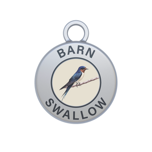 Barn Swallow Image