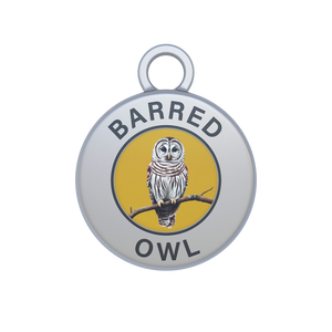 Barred Owl Image