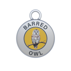 Barred Owl Image