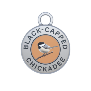 Black-capped Chickadee Image