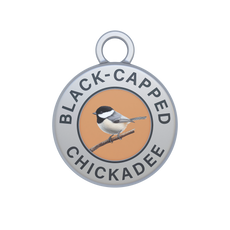 Black-capped Chickadee Image