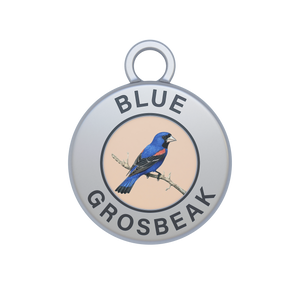 Blue Grosbeak Image