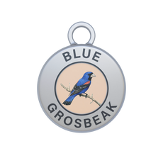 Blue Grosbeak Image