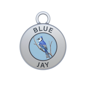 Blue Jay Image