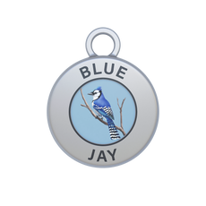 Blue Jay Image