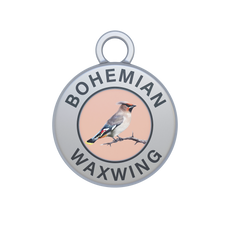 Bohemian Waxwing Image