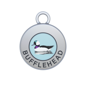 Bufflehead Image