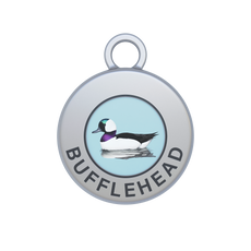 Bufflehead Image