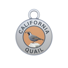 California Quail Image