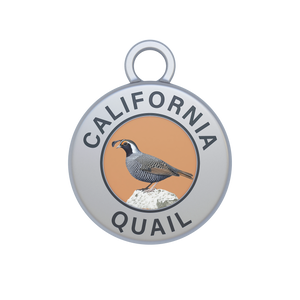California Quail Image