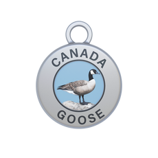 Canada Goose Image